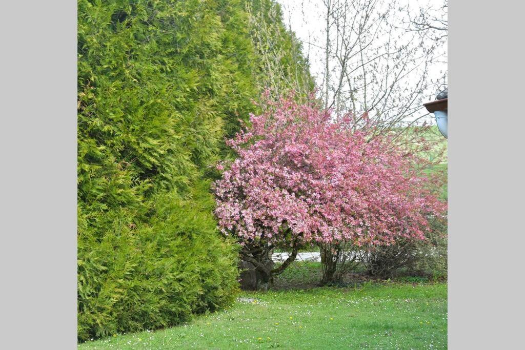 Domaine Des Montots Tanlay Exterior foto